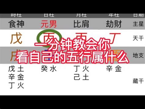 火土運|免費生辰八字五行屬性查詢、算命、分析命盤喜用神、喜忌